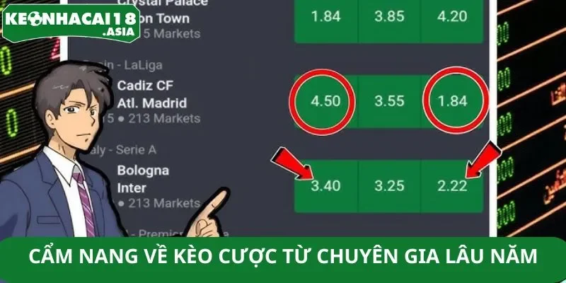 Cẩm nang về kèo cược từ chuyên gia lâu năm Cẩm nang về kèo cược từ chuyên gia lâu năm