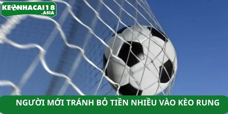 Người mới tránh bỏ tiền nhiều vào kèo rung Người mới tránh bỏ tiền nhiều vào kèo rung